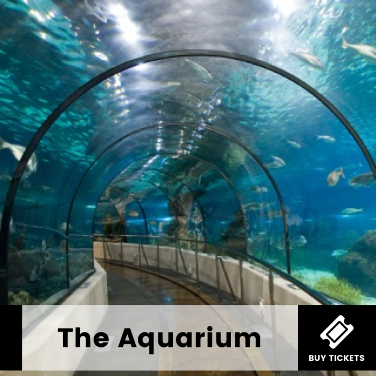Aquarium Barcelona GoCar