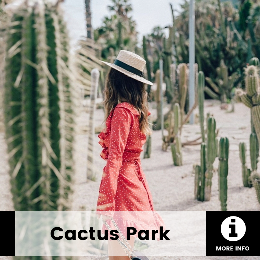 Cactus Park GoCar Barcelona