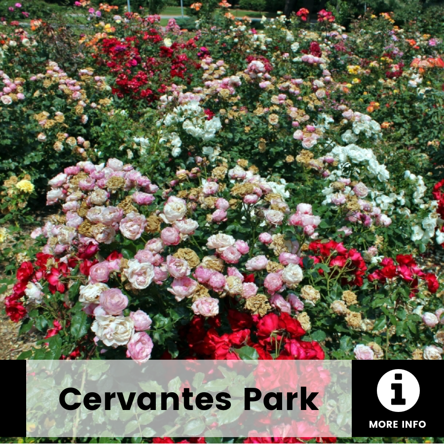 Cervantes Park GoCar Barcelona