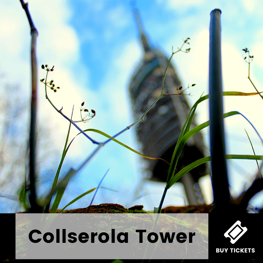 Collserola Tower GoCar Barcelona